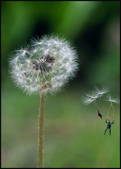 Photoshop-Design von dellville für DesignCrowd (Community Contests) | Design #9108135