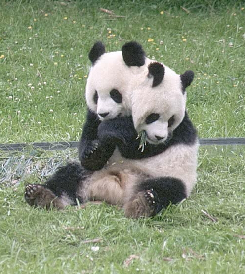 Photoshop Design by manjit69 for DesignCrowd (Community Contests) | Design #9091945