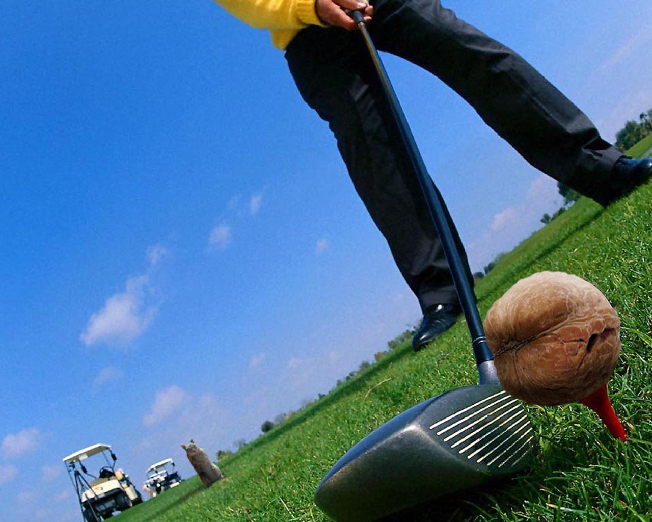 Photoshop Design by rafvdv for DesignCrowd (Community Contests) | Design #9086465