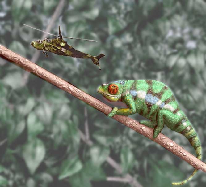 Photoshop Design by nagpai for DesignCrowd (Community Contests) | Design #9110194