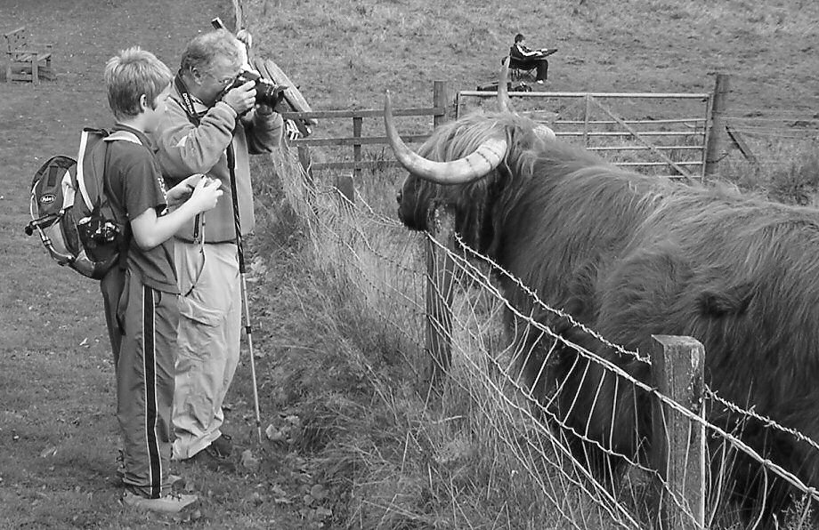 Photographie par StevieM pour DesignCrowd (Community Contests) | Design #9109145