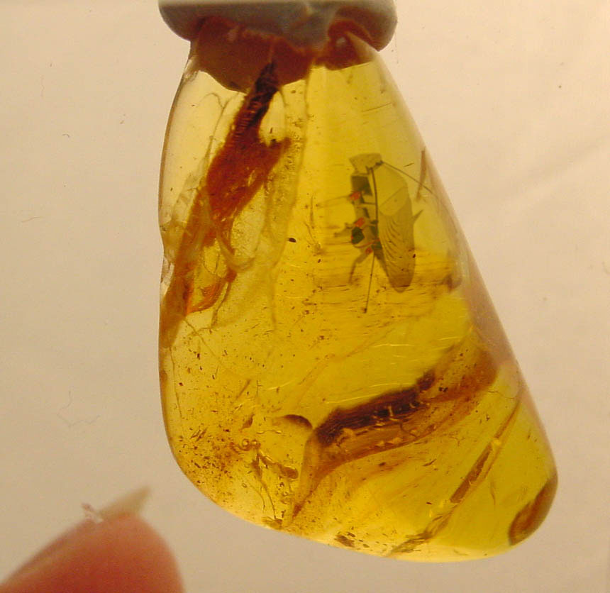 Photoshop Design by godzillatemple for DesignCrowd (Community Contests) | Design #9083451