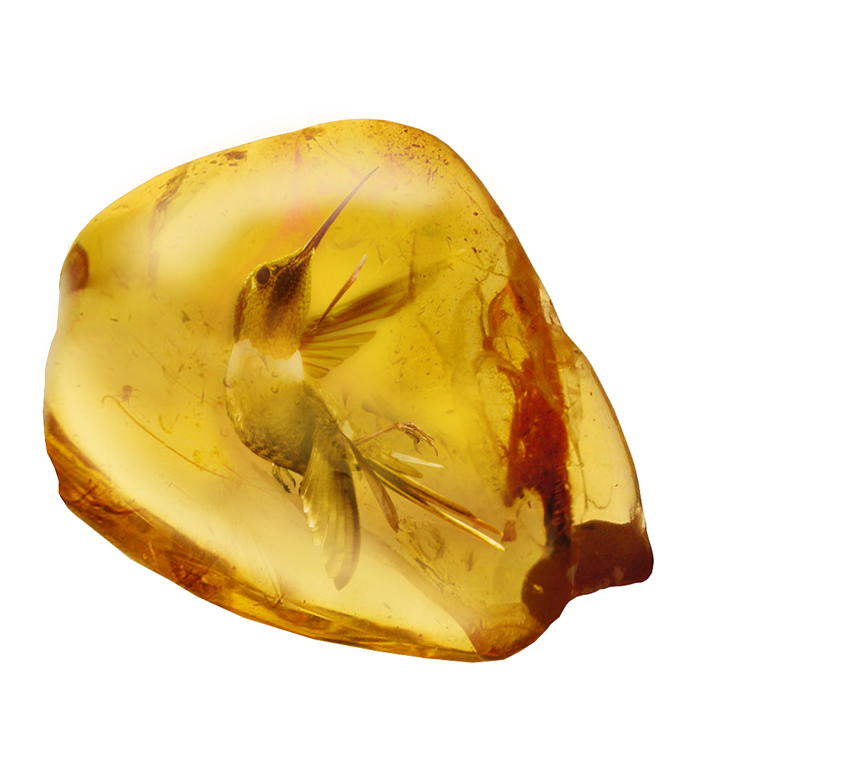 Design Photoshop par UNSUB1 pour DesignCrowd (Community Contests) | Design #9083557