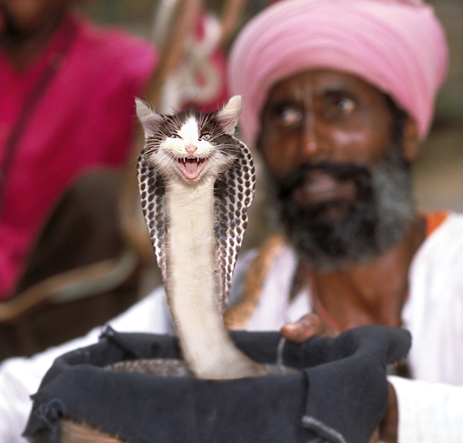 Diseño de Photoshop por GraafVanFoto para DesignCrowd (Community Contests) | Diseño #9111435