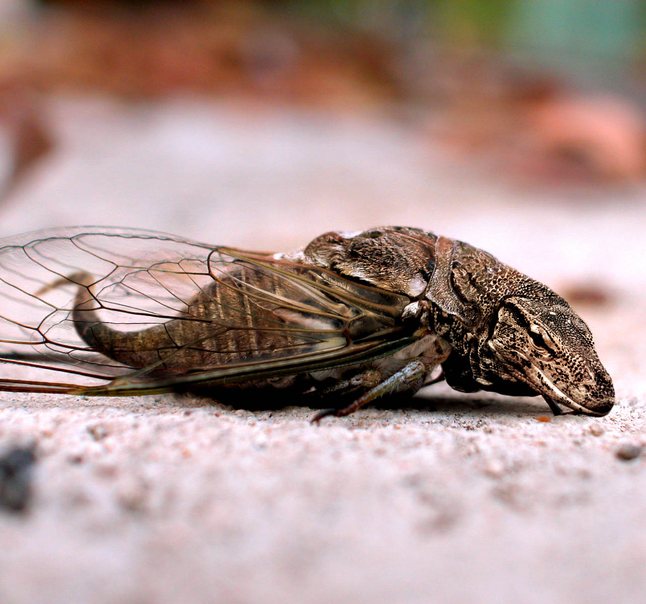 Photoshop Design by Norrit for DesignCrowd (Community Contests) | Design #9111502