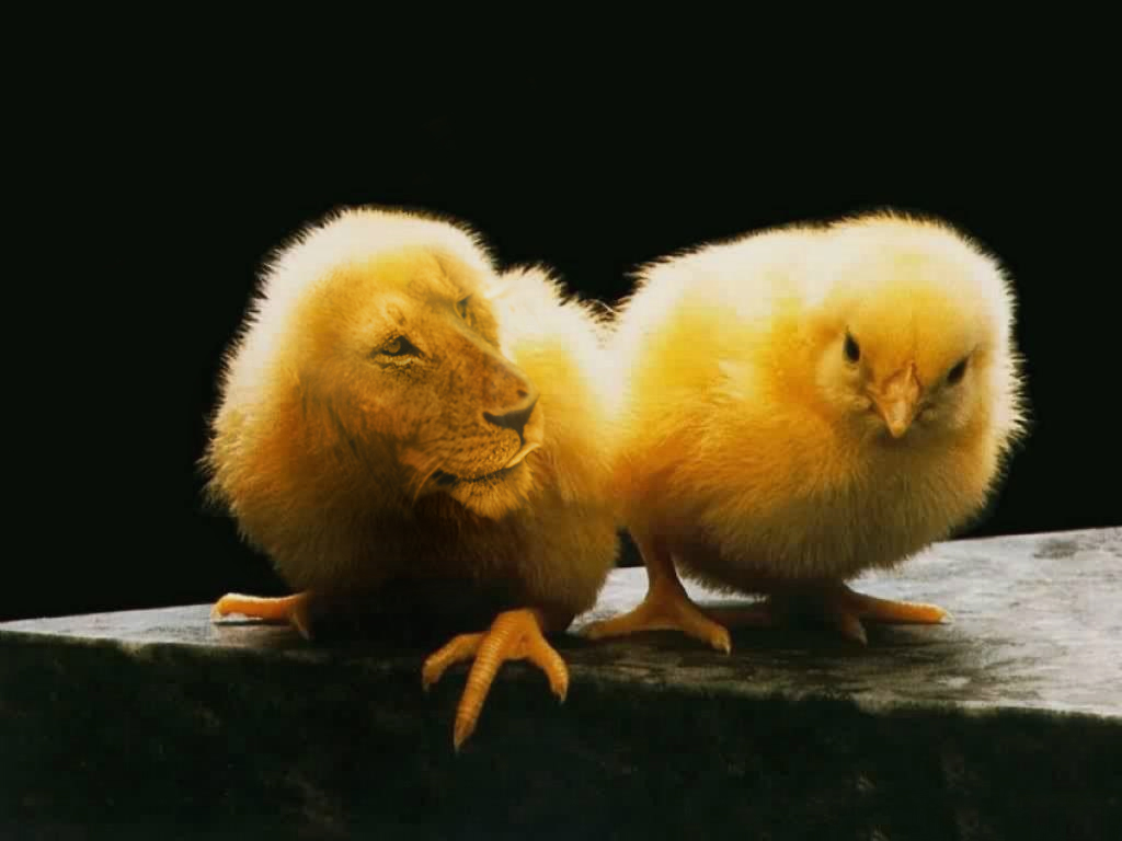 Photoshop Design by Instructio4 for DesignCrowd (Community Contests) | Design #9111423