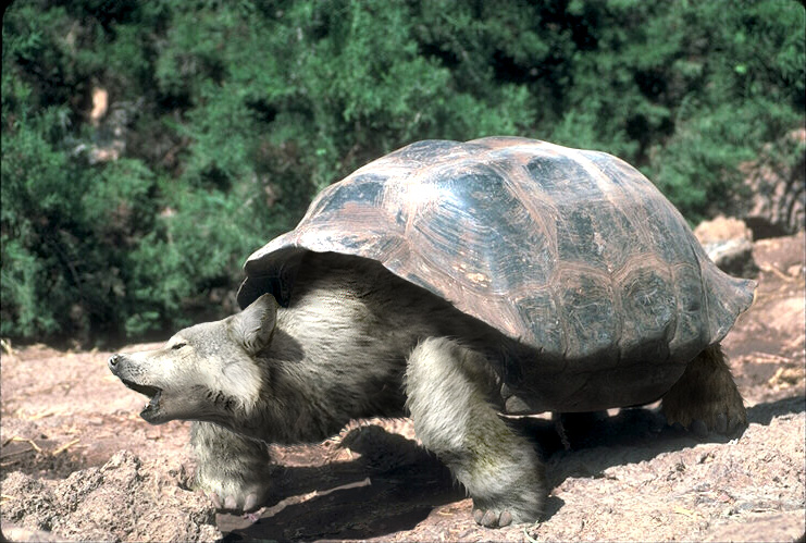 Design Photoshop par Yaro87 pour DesignCrowd (Community Contests) | Design #9111427