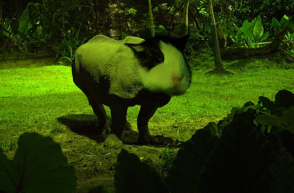 Photoshop Design by ClockworkCow for DesignCrowd (Community Contests) | Design #9111696