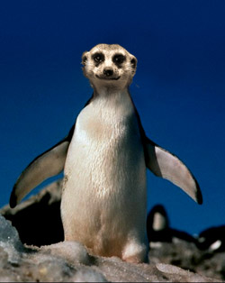 Photoshop Design by igelru for DesignCrowd (Community Contests) | Design #9111912