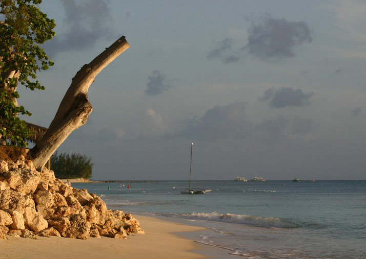 Photography by jiwasz for DesignCrowd (Community Contests) | Design #9082553