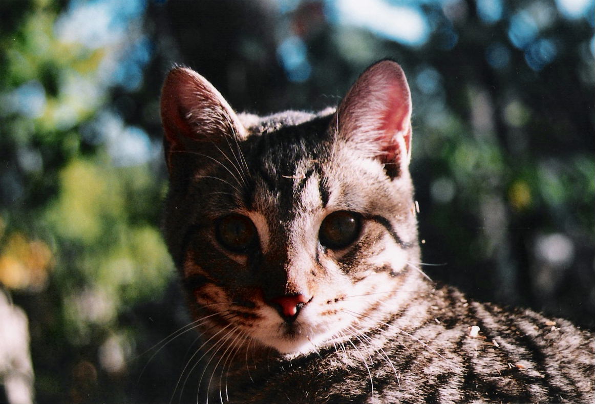 Photography by jormar13 for DesignCrowd (Community Contests) | Design #9082648