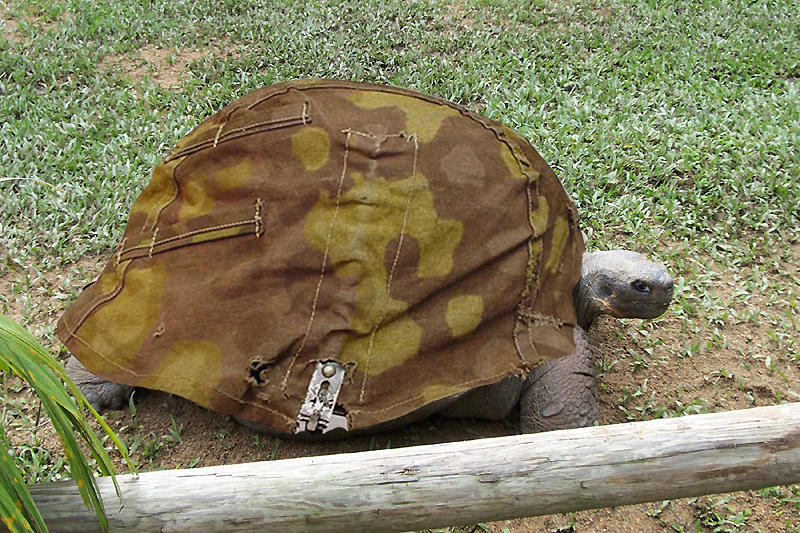 Diseño de Photoshop por eduj65 para DesignCrowd (Community Contests) | Diseño #9091326