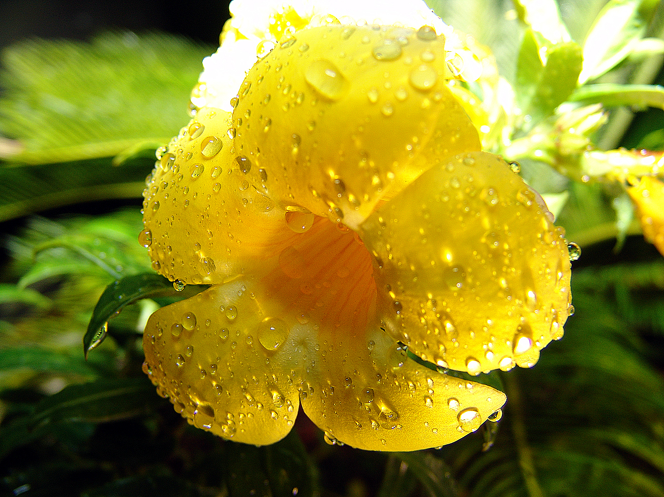 Photography by FRWalters for DesignCrowd (Community Contests) | Design #9082677