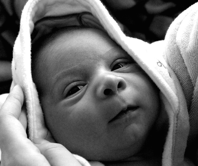 Photography by lothar for DesignCrowd (Community Contests) | Design #9082860