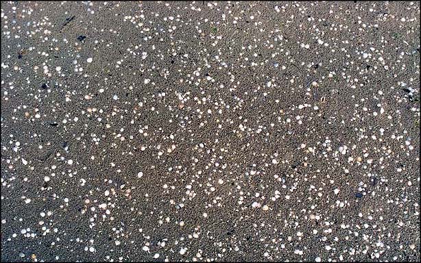 Photography by Jealousy for DesignCrowd (Community Contests) | Design #9107085