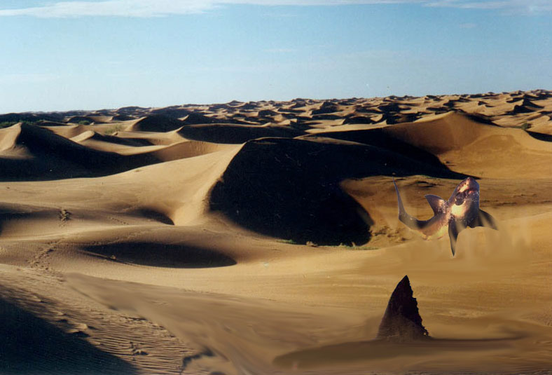 Photoshop Design by Insane136 for DesignCrowd (Community Contests) | Design #9105290