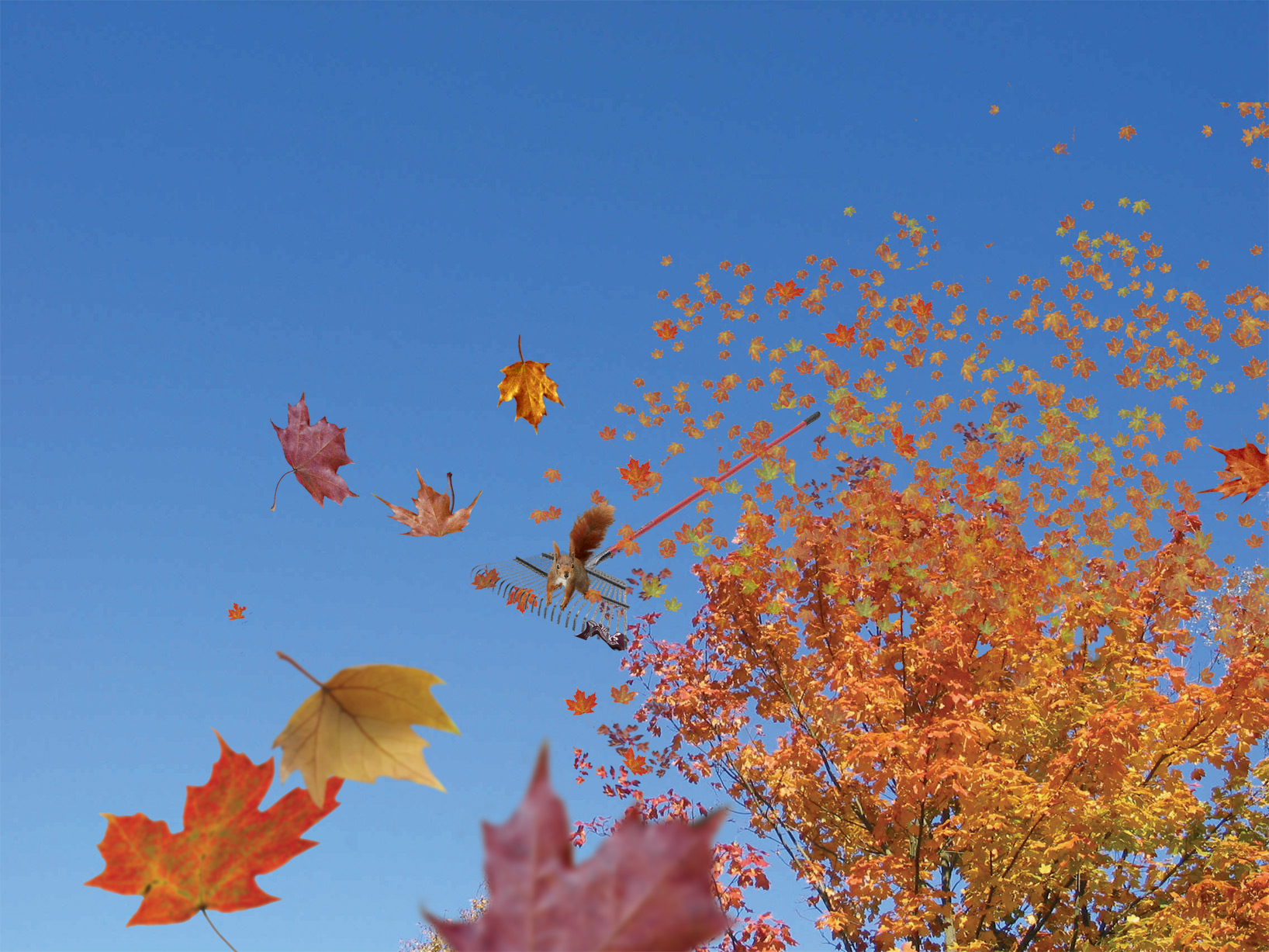 Photoshop Design by Redstar for DesignCrowd (Community Contests) | Design #9110398