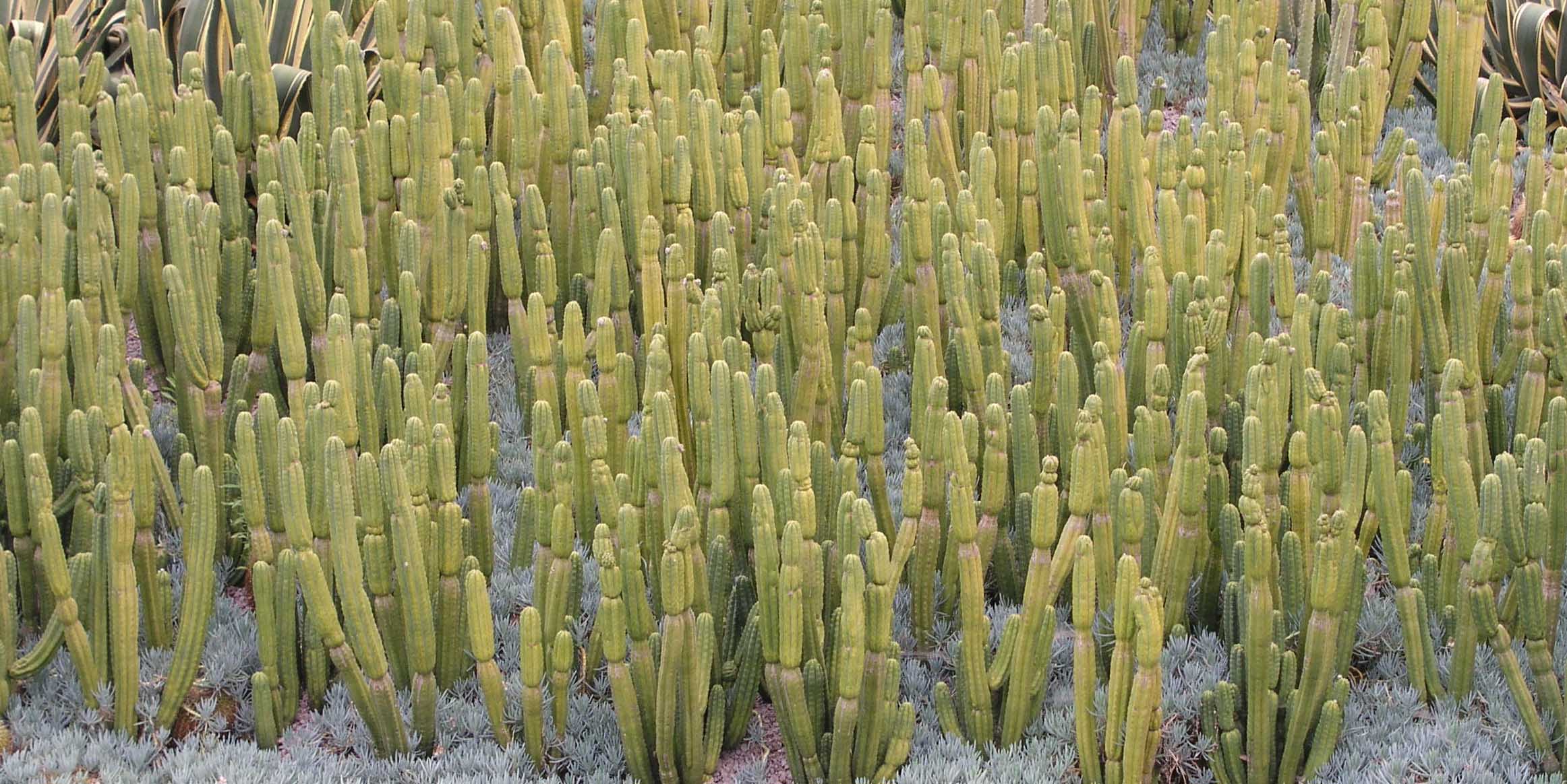 Photography by UPUPUP for DesignCrowd (Community Contests) | Design #9107434