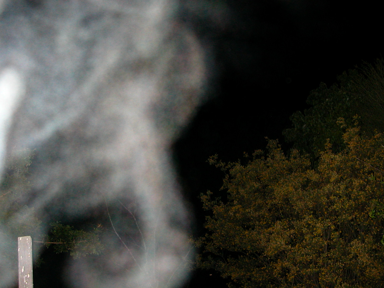 Photography by chickensinhere for DesignCrowd (Community Contests) | Design #9108561