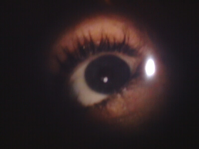 Fotografía por Flutterby para DesignCrowd (Community Contests) | Diseño #9108753