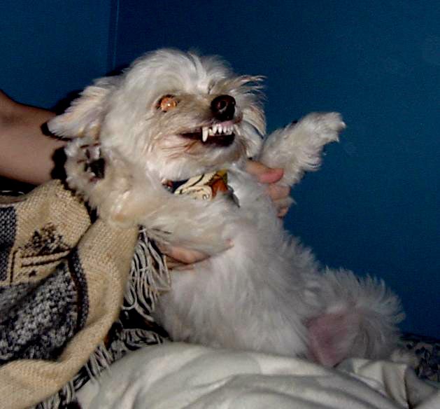 Photography by Ackley for DesignCrowd (Community Contests) | Design #9108750