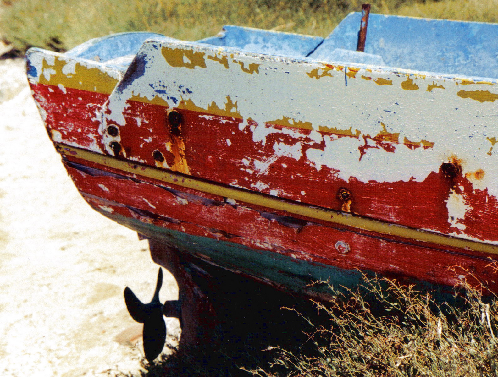 Photography by virtualstrauss for DesignCrowd (Community Contests) | Design #9109407