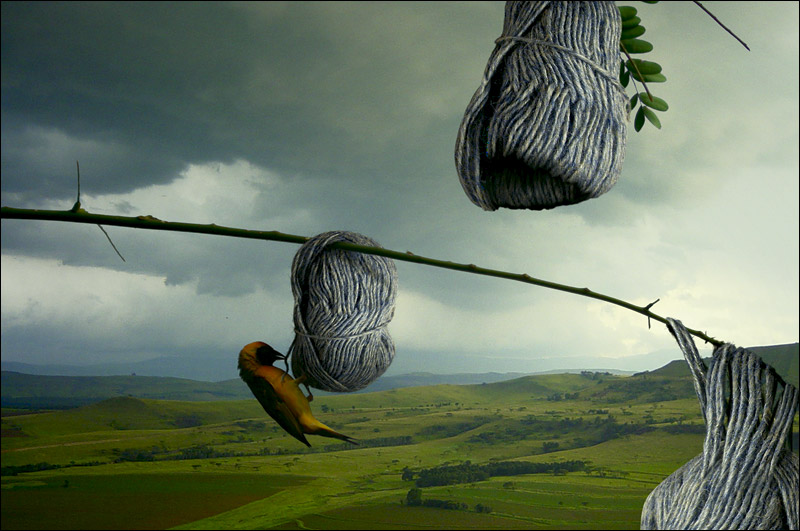 Photoshop Design by j0hnnn for DesignCrowd (Community Contests) | Design #9106222