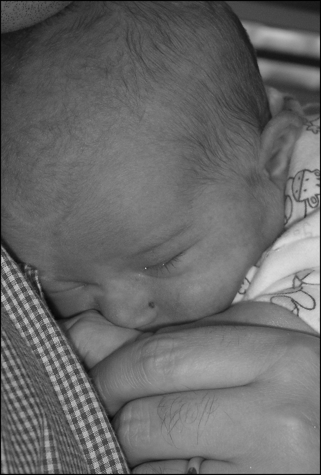 Photographie par StevieM pour DesignCrowd (Community Contests) | Design #9098956