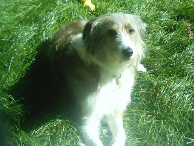 Photographie par matster pour DesignCrowd (Community Contests) | Design #9098958