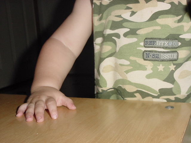 Photography by tweetybirdfan222 for DesignCrowd (Community Contests) | Design #9105551