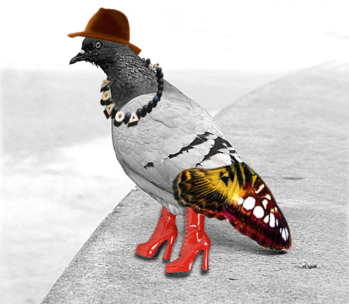 Photoshop Design by nikoniko for DesignCrowd (Community Contests) | Design #9103582