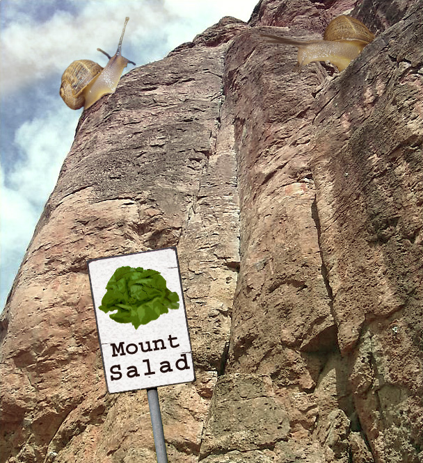 Diseño de Photoshop por asmorod para DesignCrowd (Community Contests) | Diseño #9082046