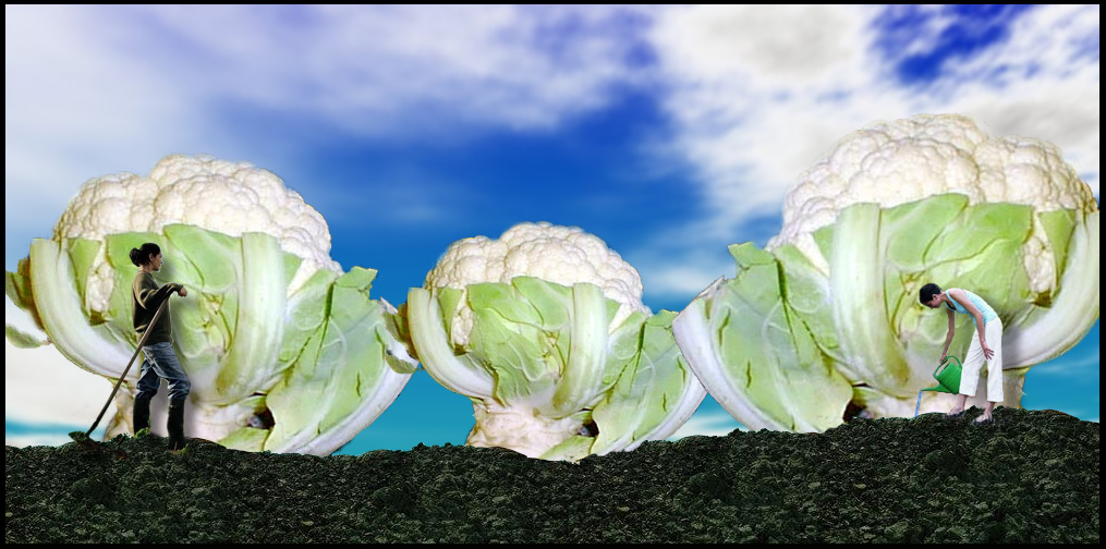 Photoshop-Design von dueceb für DesignCrowd (Community Contests) | Design #9082112