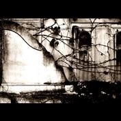 Photography by rooXx
