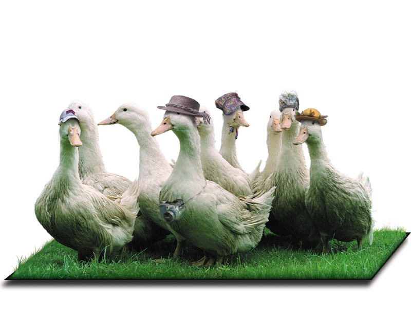 Photoshop-Design von Pelican für DesignCrowd (Community Contests) | Design #9103792