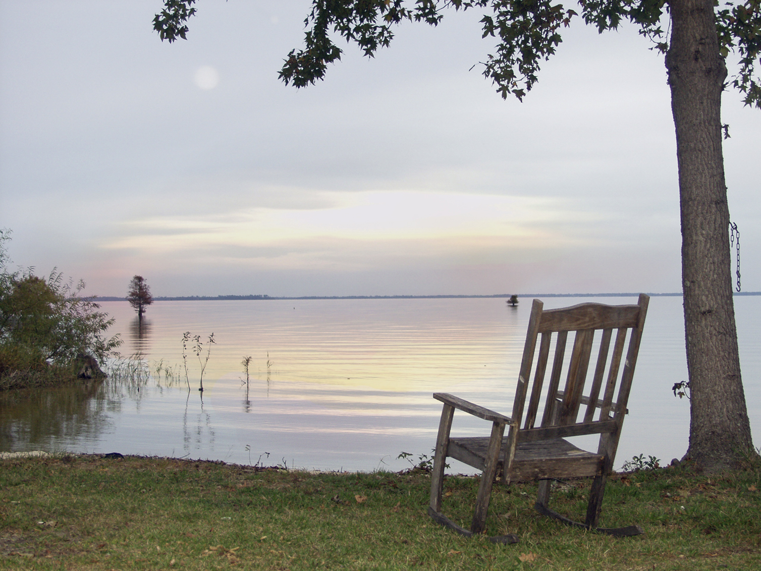 Fotografie von tgimages für DesignCrowd (Community Contests) | Design #9106679