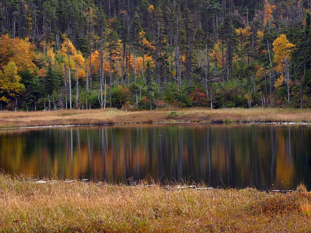 Photography by KarenC for DesignCrowd (Community Contests) | Design #9106651