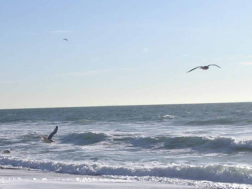 Photography by michipooh for DesignCrowd (Community Contests) | Design #9106655