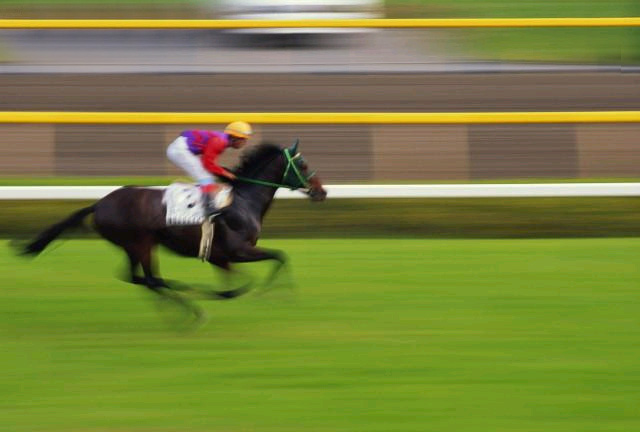 Photoshop Design by Legallyblonde877 for DesignCrowd (Community Contests) | Design #9109258