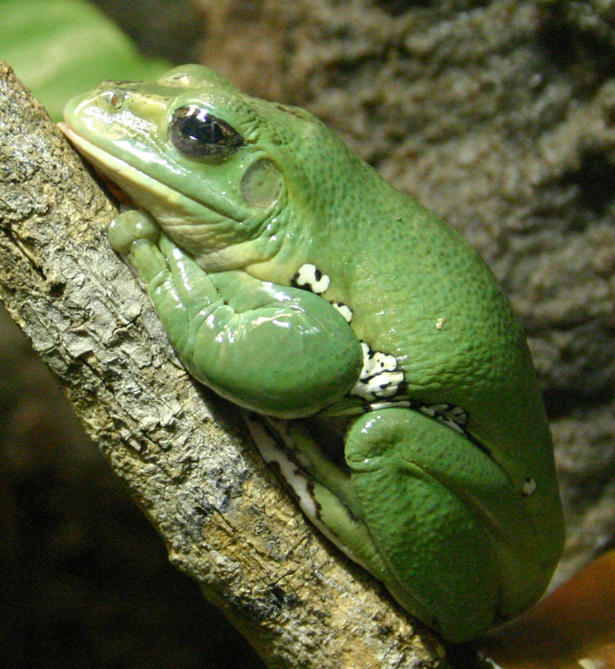 Photography by rdchdwck for DesignCrowd (Community Contests) | Design #9106718