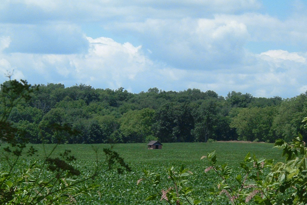 Photography by RickF413 for DesignCrowd (Community Contests) | Design #9106720