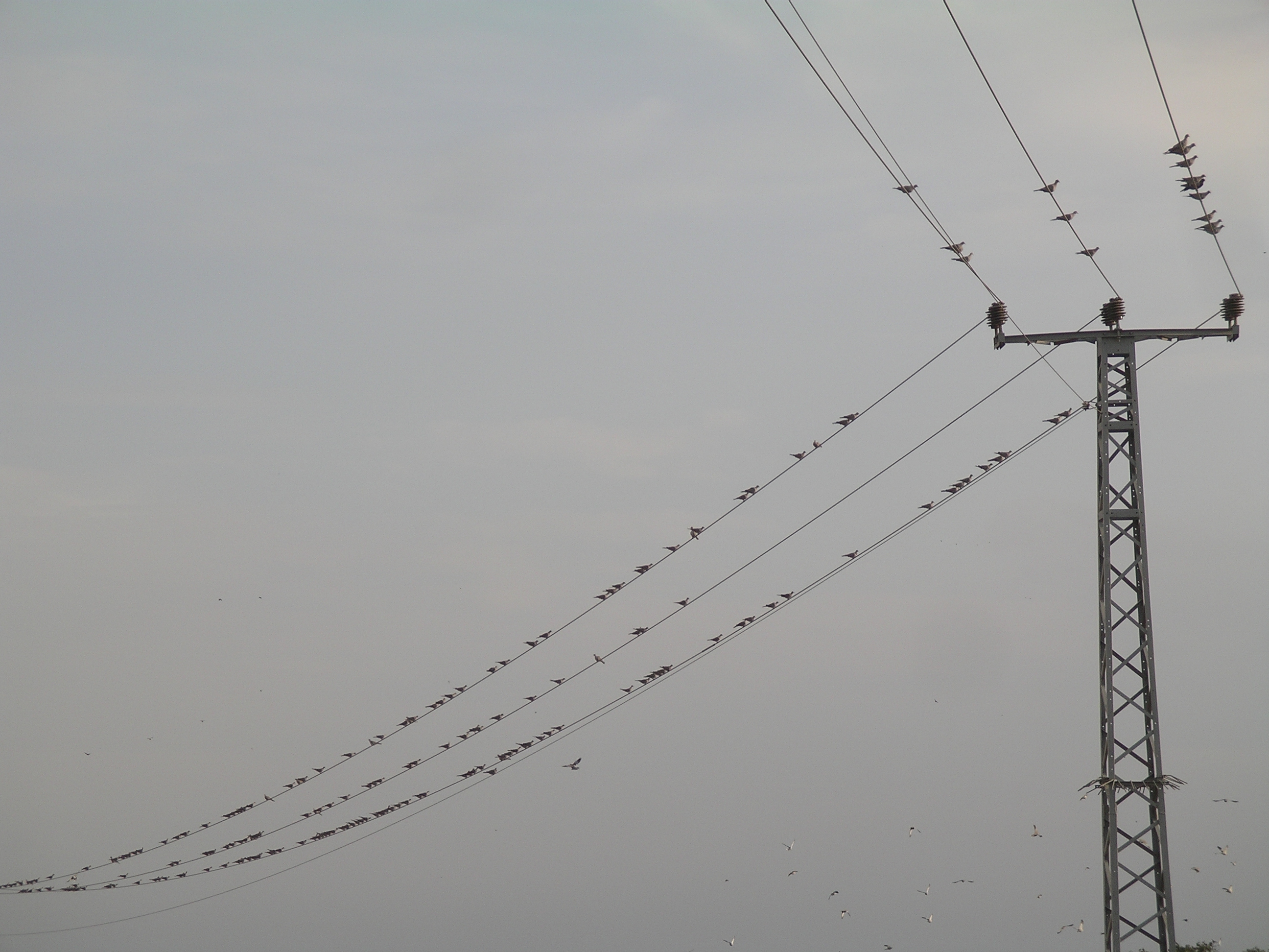 Photography by susv for DesignCrowd (Community Contests) | Design #9103179