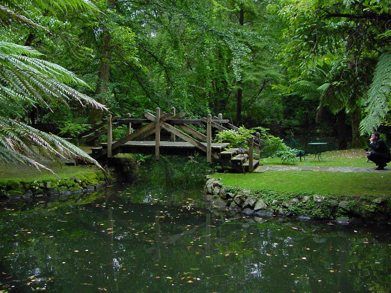 Fotografía por Nitehawk para DesignCrowd (Community Contests) | Diseño #9106828