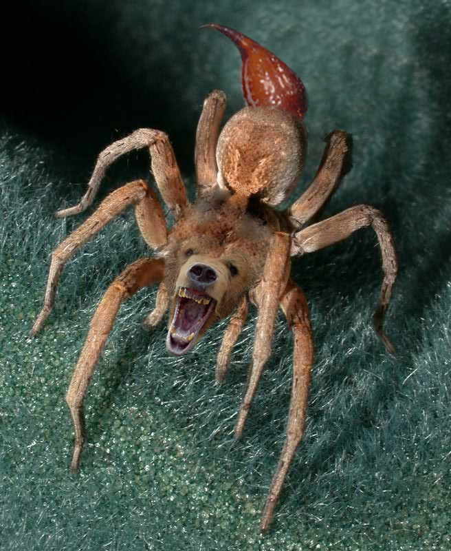 Diseño de Photoshop por vanormer para DesignCrowd (Community Contests) | Diseño #9105773