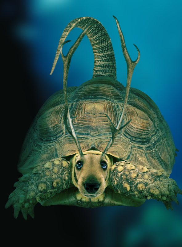 Photoshop Design by robayer for DesignCrowd (Community Contests) | Design #9105714