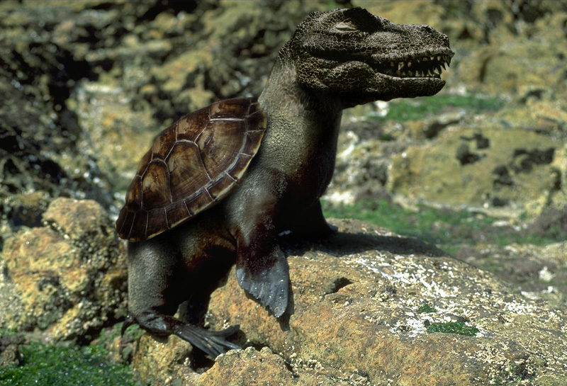 Photoshop Design by WhiteWing for DesignCrowd (Community Contests) | Design #9105736