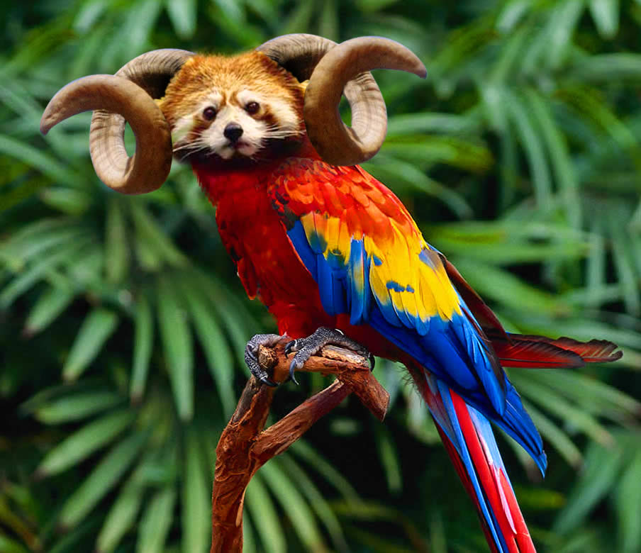 Photoshop Design by digammo for DesignCrowd (Community Contests) | Design #9105823