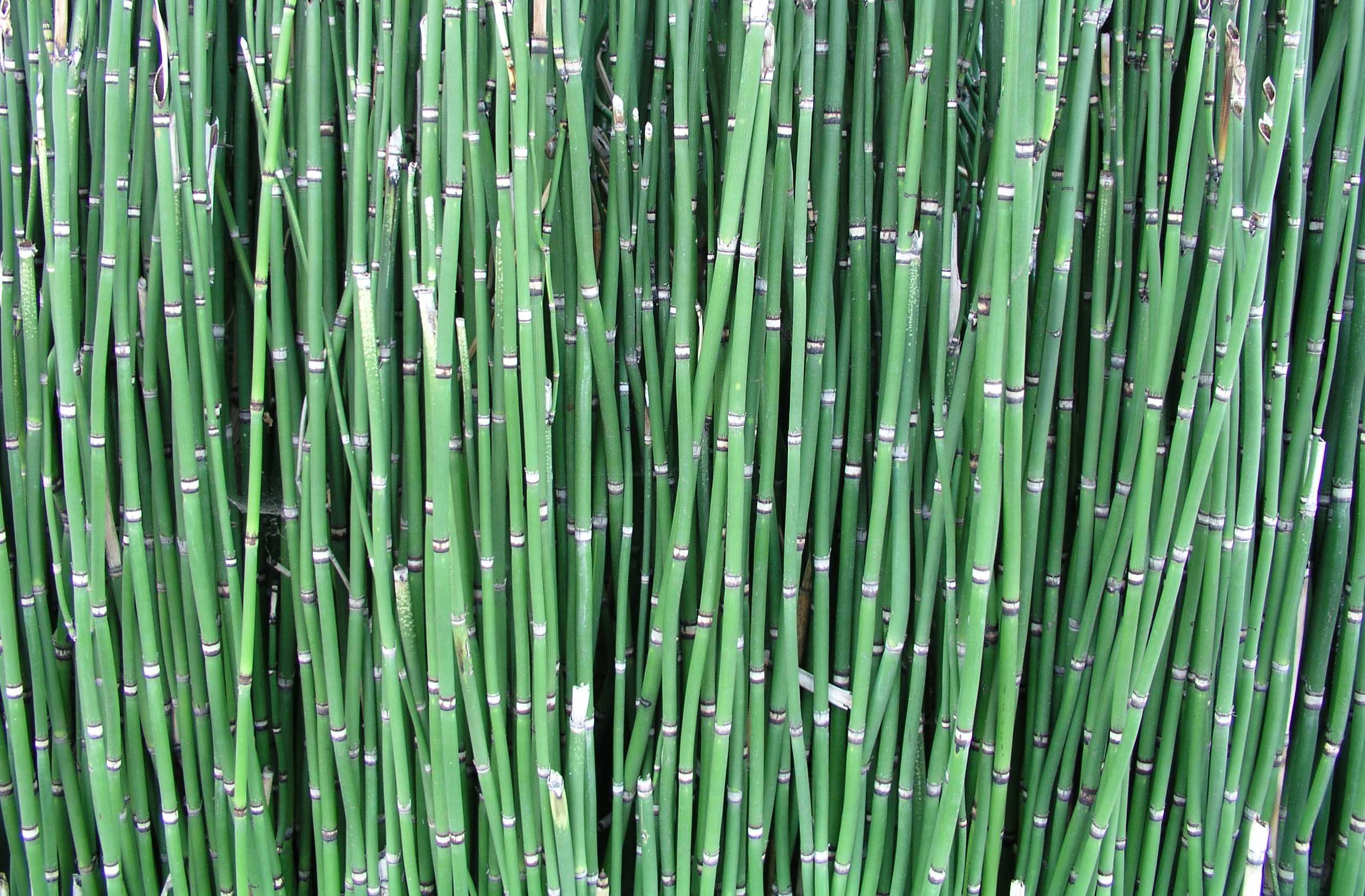 Photographie par UPUPUP pour DesignCrowd (Community Contests) | Design #9103424