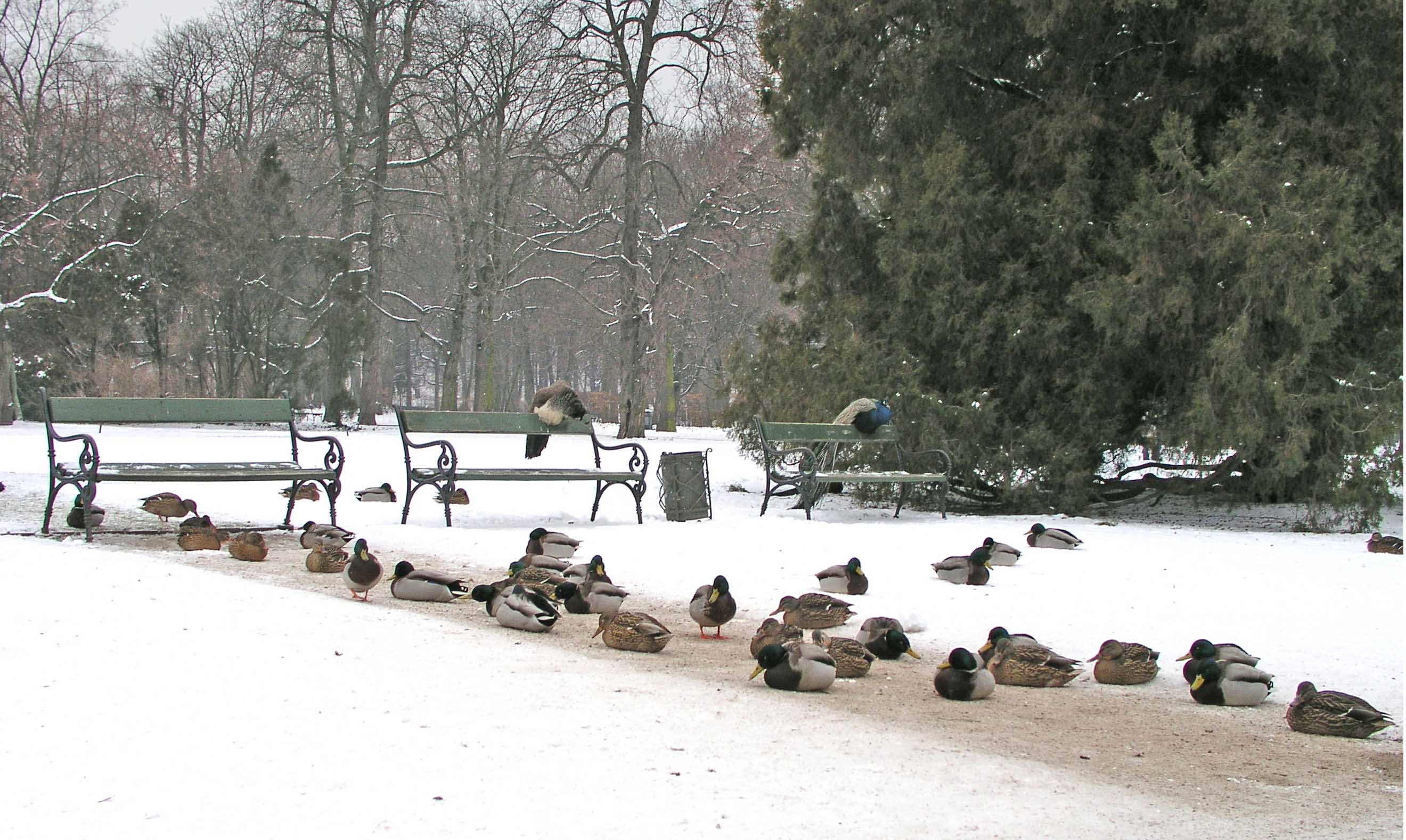 Photographie par UPUPUP pour DesignCrowd (Community Contests) | Design #9106869