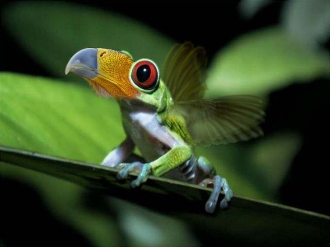 Photoshop-Design von Nana für DesignCrowd (Community Contests) | Design #9105717